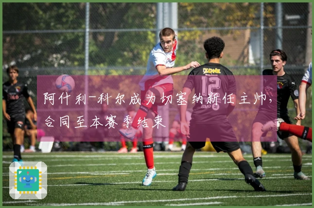 阿什利-科尔成为切塞纳新任主帅，合同至本赛季结束